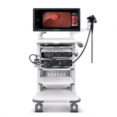 电子鼻咽喉内窥镜